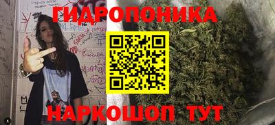 кокс Анапа