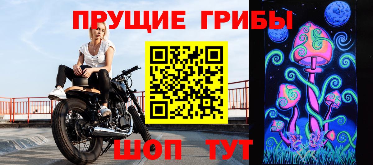 Псилоцибиновые грибы GOLDEN TEACHER  Вход с VPN  Белебей  Галлюциногенные грибы Cubensis 