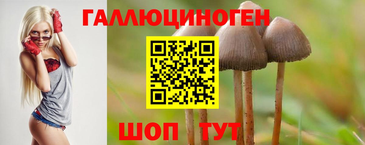 Псилоцибиновые грибы ЛСД Белебей